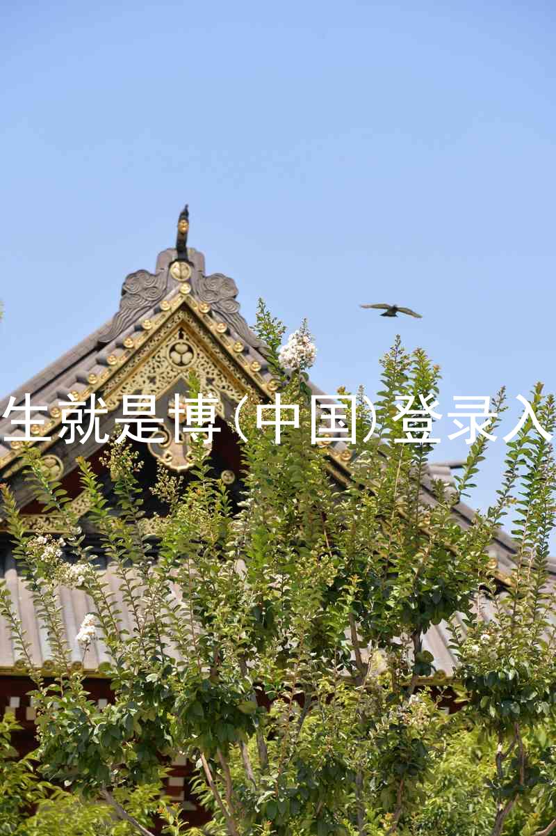 人生就是博(中国)登录入口